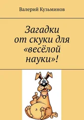 Валерий Кузьминов - Загадки от скуки для «весёлой науки»!