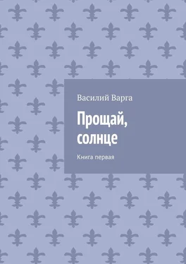 Василий Варга Прощай, солнце. Книга первая обложка книги