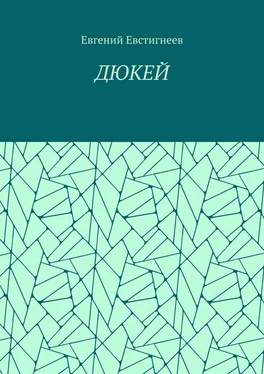 Евгений Евстигнеев ДЮКЕЙ обложка книги