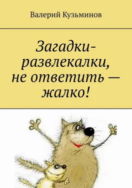 Валерий Кузьминов Загадки-развлекалки, не ответить – жалко! обложка книги