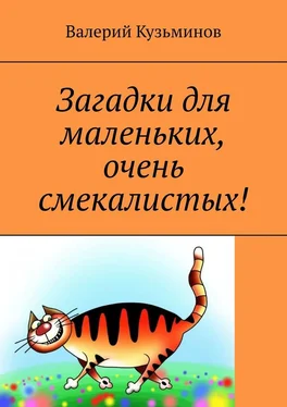 Валерий Кузьминов Загадки для маленьких, очень смекалистых! обложка книги