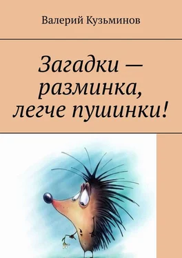 Валерий Кузьминов Загадки – разминка, легче пушинки!