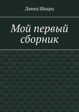 Давид Шварц Мой первый сборник обложка книги