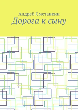 Андрей Сметанкин Дорога к сыну обложка книги