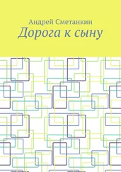 Андрей Сметанкин - Дорога к сыну