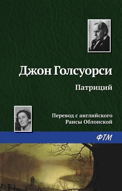 Джон Голсуорси Патриций обложка книги