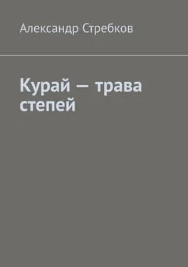 Александр Стребков Курай – трава степей обложка книги