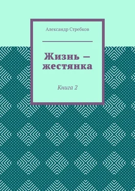 Александр Стребков Жизнь – жестянка. Книга 2 обложка книги