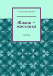 Александр Стребков - Жизнь – жестянка. Книга 2