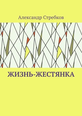 Александр Стребков Жизнь-жестянка обложка книги