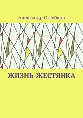 Александр Стребков - Жизнь-жестянка