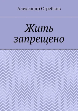 Александр Стребков Жить запрещено обложка книги