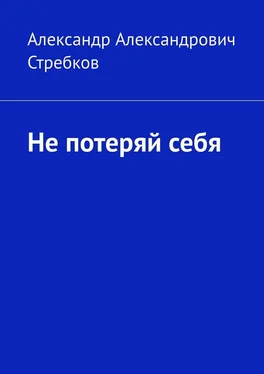 Александр Стребков Не потеряй себя обложка книги