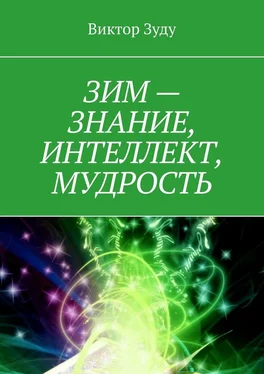 Виктор Зуду ЗИМ – знание, интеллект, мудрость обложка книги