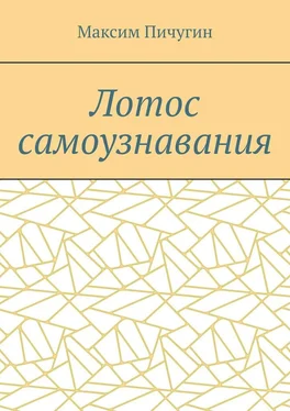 Максим Пичугин Лотос самоузнавания обложка книги