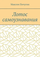 Максим Пичугин - Лотос самоузнавания