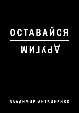 Владимир Литвиненко Оставайся другим обложка книги