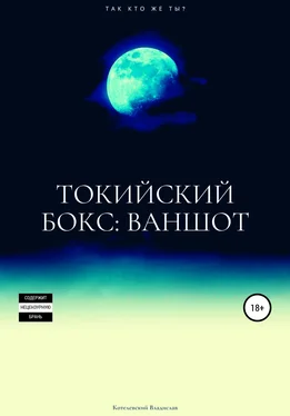 Владислав Котелевский Токийский бокс: ваншот обложка книги