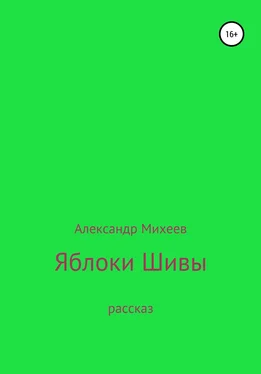 Александр Михеев Яблоки Шивы обложка книги