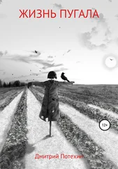 Дмитрий Потехин - Жизнь пугала