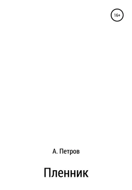 Александр Петров Пленник обложка книги