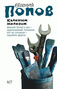 Евгений Попов Каленым железом обложка книги
