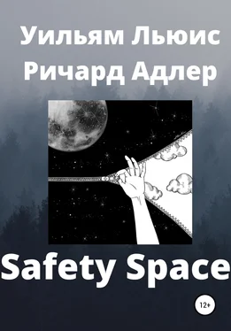 Уильям Льюис Ричард Адлер Safety Space обложка книги