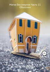 Бурислав Сервест - Магия Бессмертия. Часть 11. Оболочки