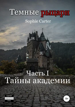 Sophie Carter Темные рыцари. Тайны академии обложка книги