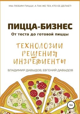 Евгений Давыдов Пицца-бизнес. Технологии, решения, ингредиенты обложка книги