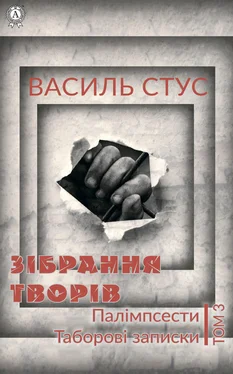 Василь Стус Том 3. Палімпсести. Таборові записки обложка книги