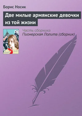 Борис Носик Две милые армянские девочки из той жизни обложка книги