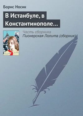 Борис Носик В Истанбуле, в Константинополе… обложка книги