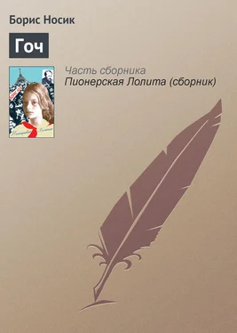 Борис Носик Гоч обложка книги