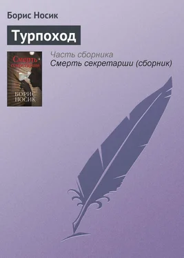 Борис Носик Турпоход обложка книги