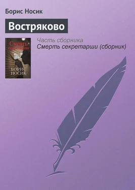 Борис Носик Востряково обложка книги