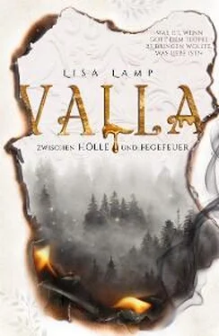 Lisa Lamp Valla - Zwischen Hölle und Fegefeuer обложка книги