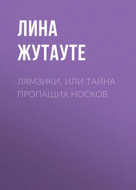 Лина Жутауте Лямзики, или Тайна пропащих носков обложка книги