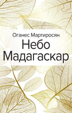 Оганес Мартиросян Небо Мадагаскар обложка книги