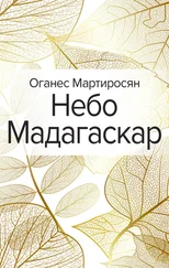 Оганес Мартиросян - Небо Мадагаскар