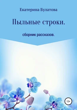 Екатерина Булатова Пыльные строки обложка книги