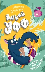 Михаэль Петровиц - Дикий Уфф едет на каникулы