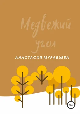 Анастасия Муравьева Медвежий угол обложка книги