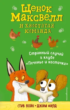 Стив Войк Странный случай в клубе «Печенье и косточка» обложка книги