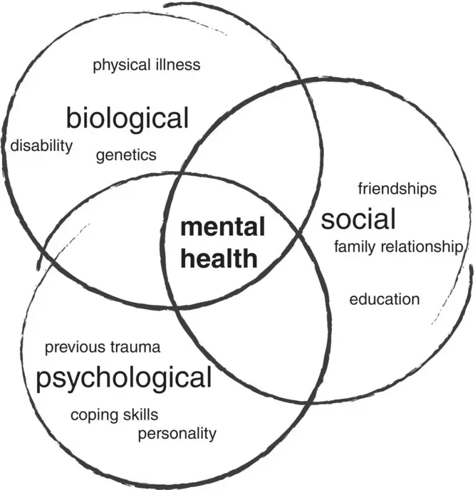 Figure 12 The biopsychosocial model indicates the interconnectedness between - фото 5