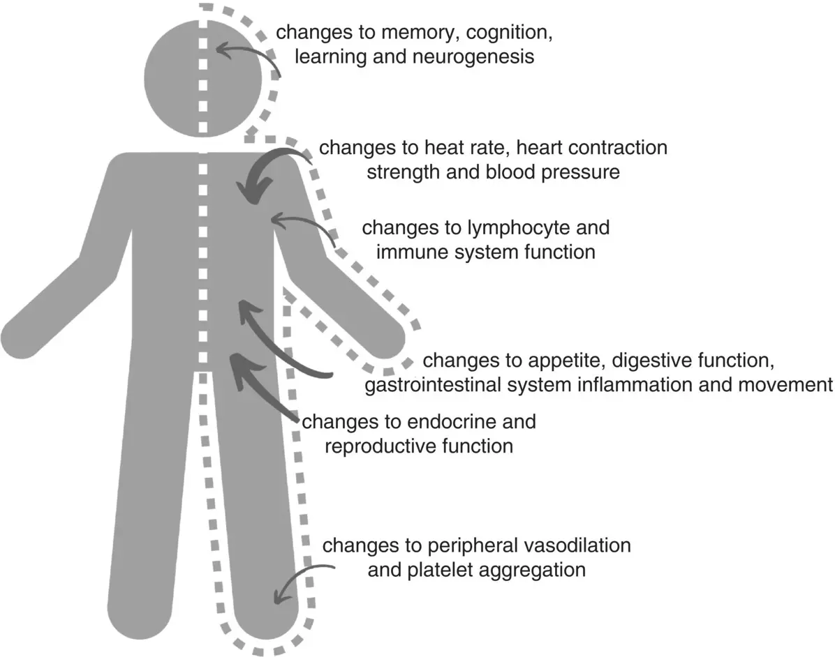 Figure 14 The stress response can impact on many different body systems 14 - фото 7