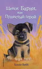Холли Вебб - Щенок Барни, или Пушистый герой
