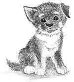 Ктото всётаки привёз сюда собаку Когда мы шли через двор я услышала лай - фото 6