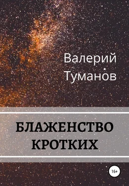 Валерий Туманов Блаженство кротких обложка книги