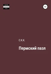 С. К. - Пермский пазл